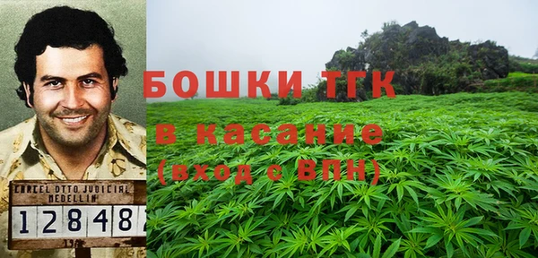 спайс Алексин