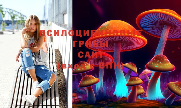 спайс Алексин