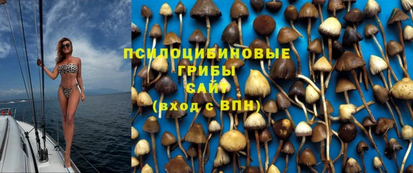 спайс Алексин