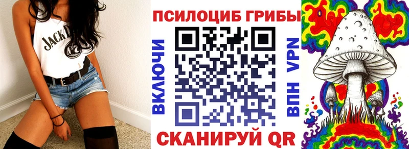 Псилоцибиновые грибы GOLDEN TEACHER  Хотьково 